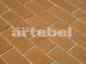 ESPECIAL: Camurça