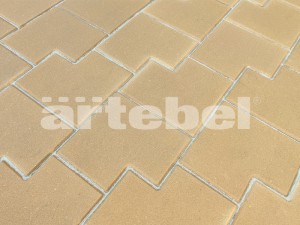 ESPECIAL: Camurça