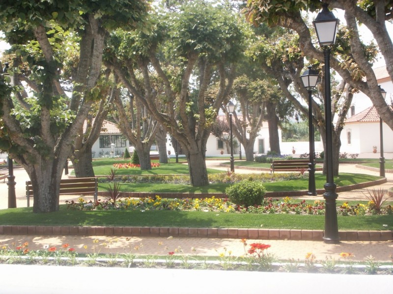 Paliçada cor: Castanho