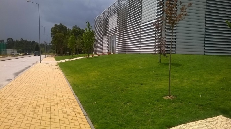 Pavimento Holanda cor: Amarelo